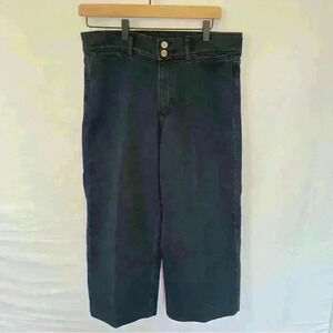 Banana Republic High-Rise Wide-Leg Crop Jean Dark Blue Wash Size 29